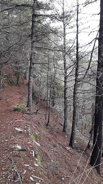 20230628_073728.jpg 20230628_073728.jpg