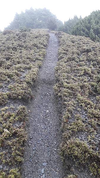 20230628_131234.jpg 20230628_131234.jpg