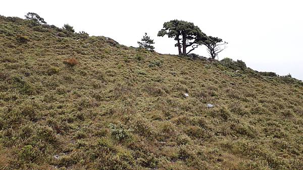 20230628_115327.jpg 20230628_115327.jpg