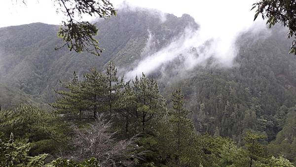 南二段~探索中央山脈最美的風景 一段歷史與人文的奇幻旅程 感