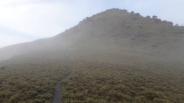 20230629_074149.jpg 20230629_074149.jpg