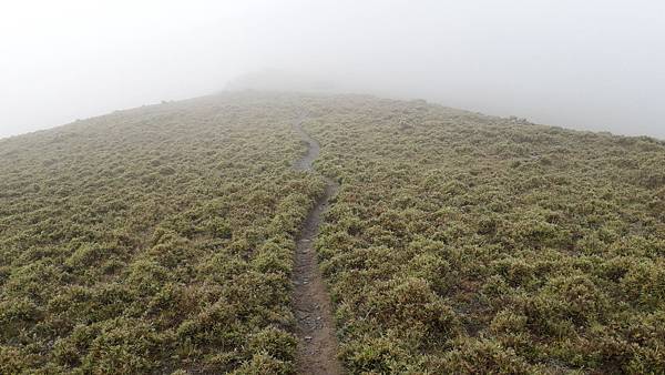 20230629_073854.jpg 20230629_073854.jpg