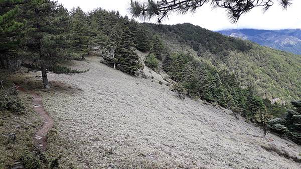 20230629_093203.jpg 20230629_093203.jpg