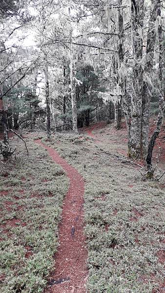 20230629_095033.jpg 20230629_095033.jpg