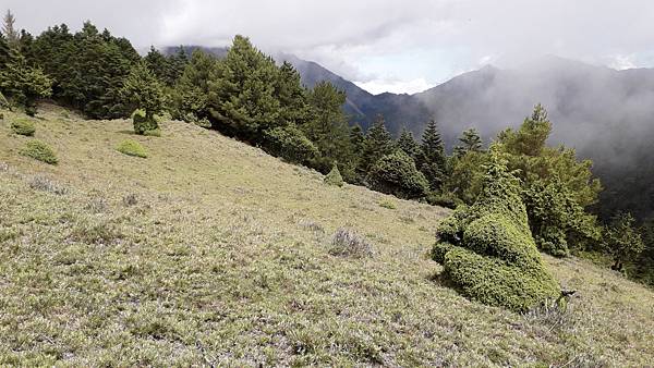 南二段~探索中央山脈最美的風景 一段歷史與人文的奇幻旅程 感