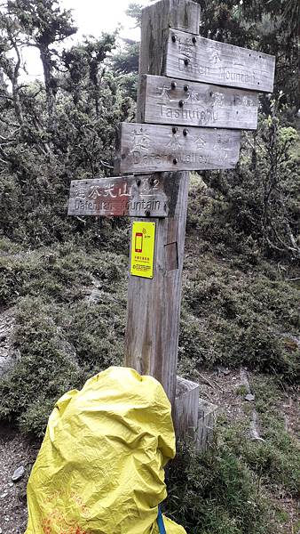 20230629_121026.jpg 20230629_121026.jpg