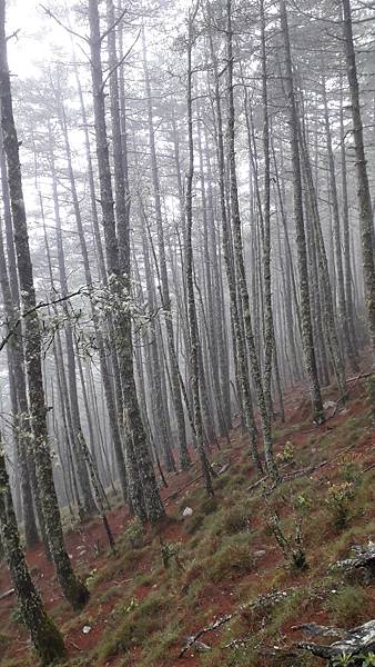 20230629_143825.jpg 20230629_143825.jpg