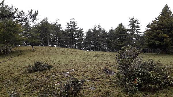 南二段~探索中央山脈最美的風景 一段歷史與人文的奇幻旅程 感