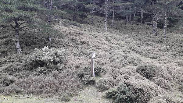 南二段~探索中央山脈最美的風景 一段歷史與人文的奇幻旅程 感