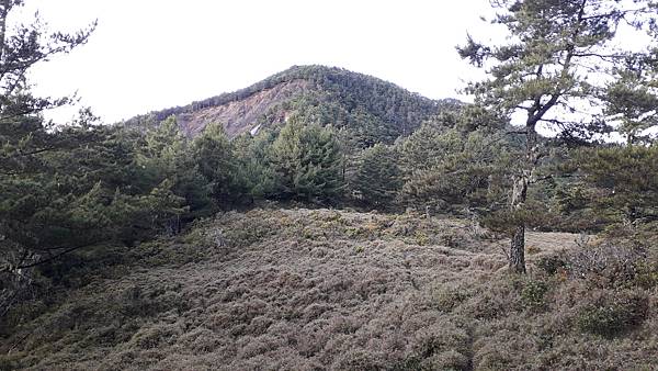 20230630_054204.jpg 20230630_054204.jpg