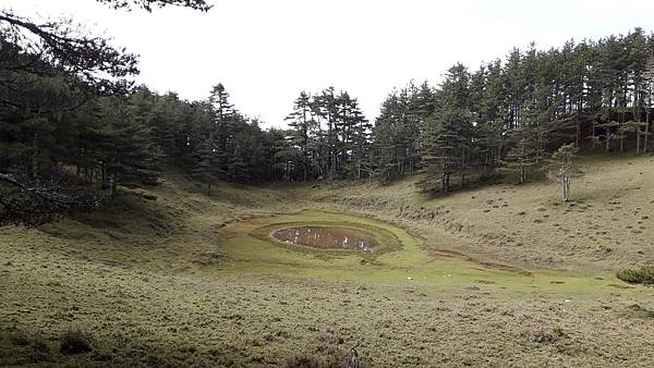 20230630_080126.jpg 20230630_080126.jpg