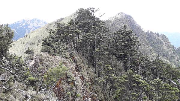 20230630_120255.jpg 20230630_120255.jpg