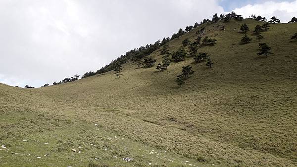 20230630_150330.jpg 20230630_150330.jpg