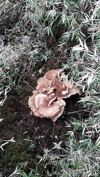 20230630_112511.jpg 20230630_112511.jpg