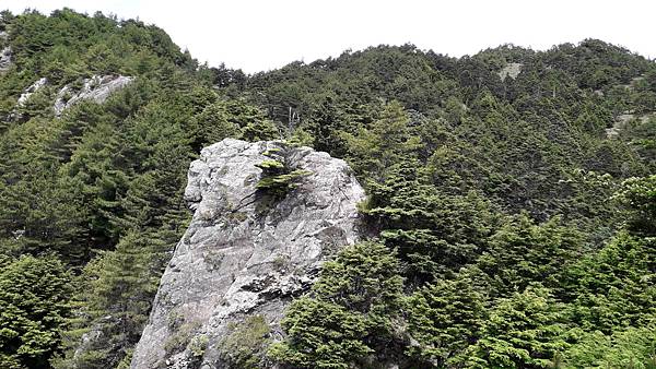 南二段~探索中央山脈最美的風景 一段歷史與人文的奇幻旅程 感