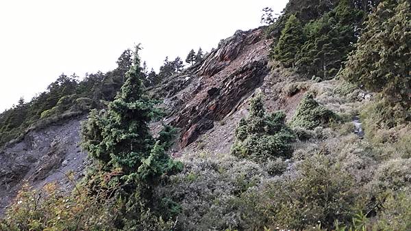 20230701_050832.jpg 20230701_050832.jpg