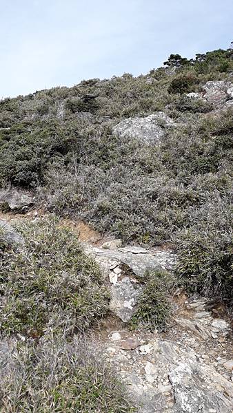 20230701_071658.jpg 20230701_071658.jpg