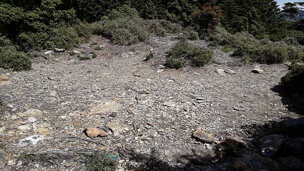 20230701_092845.jpg 20230701_092845.jpg