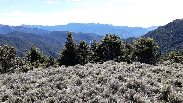 20230701_095525.jpg 20230701_095525.jpg