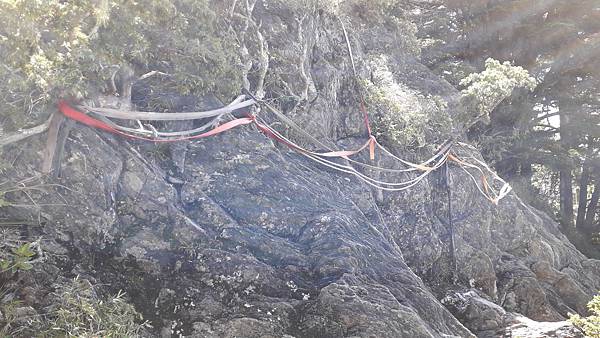 20230701_101235.jpg 20230701_101235.jpg