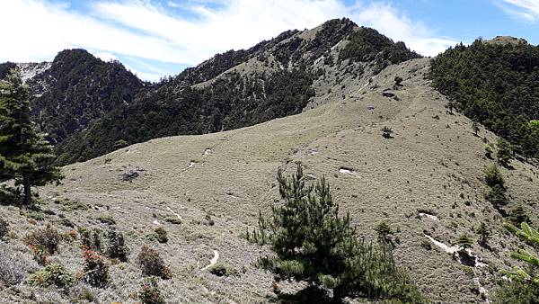 20230701_112622.jpg 20230701_112622.jpg