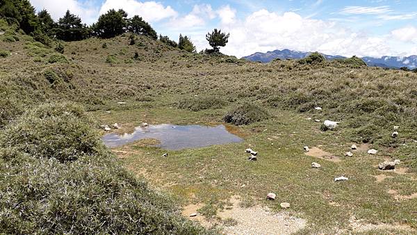 20230701_112954.jpg 20230701_112954.jpg