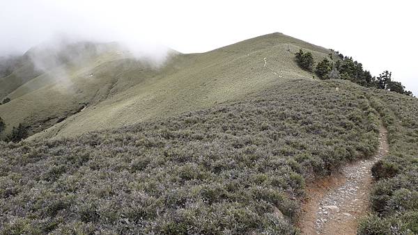 20230701_124048.jpg 20230701_124048.jpg