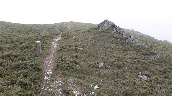 20230701_131245.jpg 20230701_131245.jpg