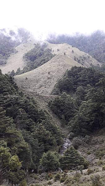 20230701_135639.jpg 20230701_135639.jpg