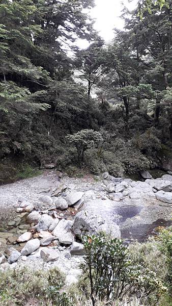 20230701_140313.jpg 20230701_140313.jpg