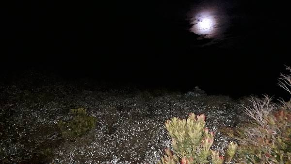 20230702_013825.jpg 20230702_013825.jpg