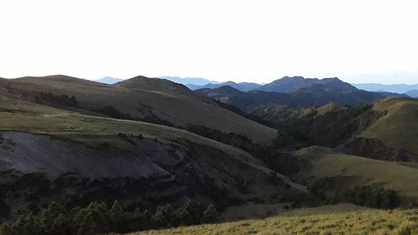 20230702_045949.jpg 20230702_045949.jpg