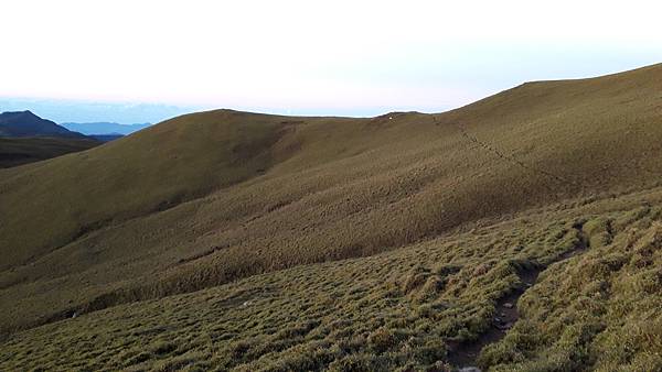 20230702_050754.jpg 20230702_050754.jpg