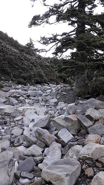 南二段~探索中央山脈最美的風景 一段歷史與人文的奇幻旅程 感