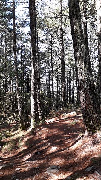 南二段~探索中央山脈最美的風景 一段歷史與人文的奇幻旅程 感