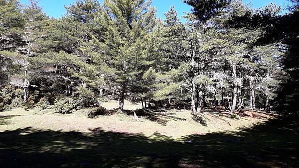 20230702_085612.jpg 20230702_085612.jpg