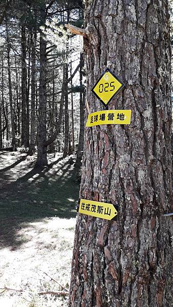 20230702_090939.jpg 20230702_090939.jpg