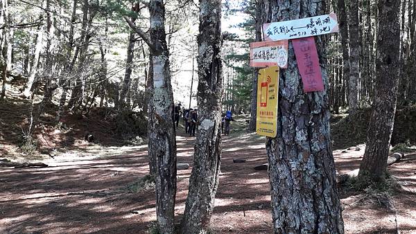 20230702_091705.jpg 20230702_091705.jpg