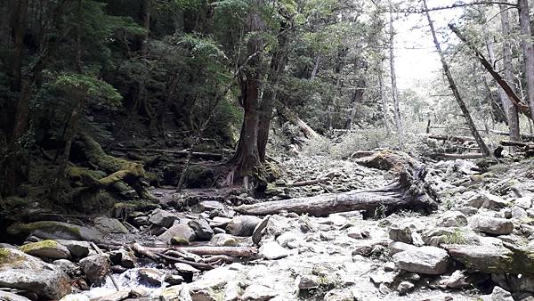 南二段~探索中央山脈最美的風景 一段歷史與人文的奇幻旅程 感