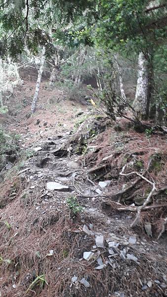 20230702_132710.jpg 20230702_132710.jpg