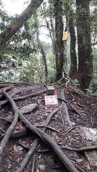 20230702_142449.jpg 20230702_142449.jpg