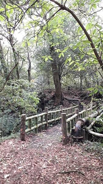 m612x918 (1).jpg m612x918 (1).jpg