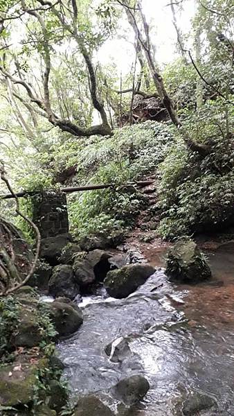 m612x918 (4).jpg m612x918 (4).jpg