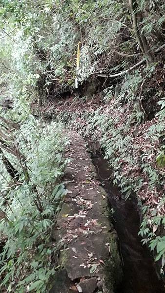 m612x918 (3).jpg m612x918 (3).jpg