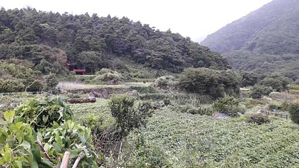 m612x918 (7).jpg m612x918 (7).jpg