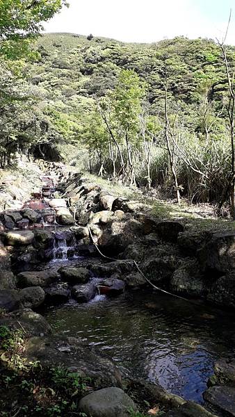 121265.jpg 121265.jpg