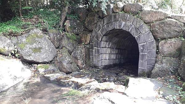 121264.jpg 121264.jpg