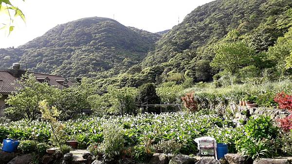 121266.jpg 121266.jpg