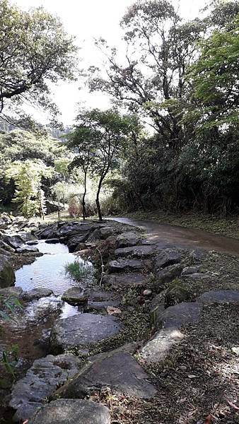 121263.jpg 121263.jpg