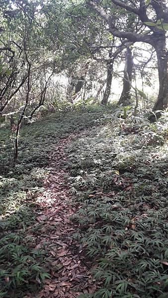 121237.jpg 121237.jpg